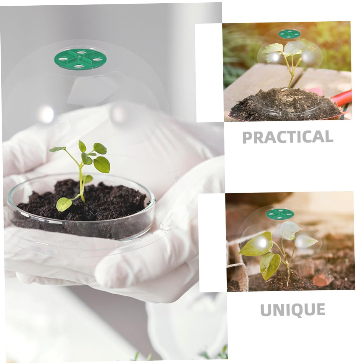 Yardenfun 3 Stück Mini Gewächshaus Pflanzkuppel aus Robustem Pet Material Transparente Pflanzenhaube für Anzucht Frostschutz und Schutz im Garten Vielseitig als Garten Cloche für Blumen