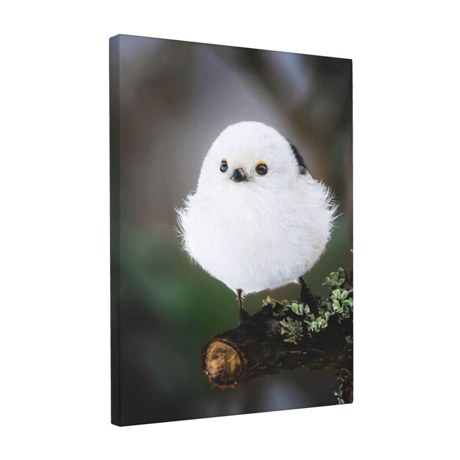 シマエナガ　アートフレーム Amazon.co.jp: シマエナガ かわいい 鳥 アニメ アートパネル