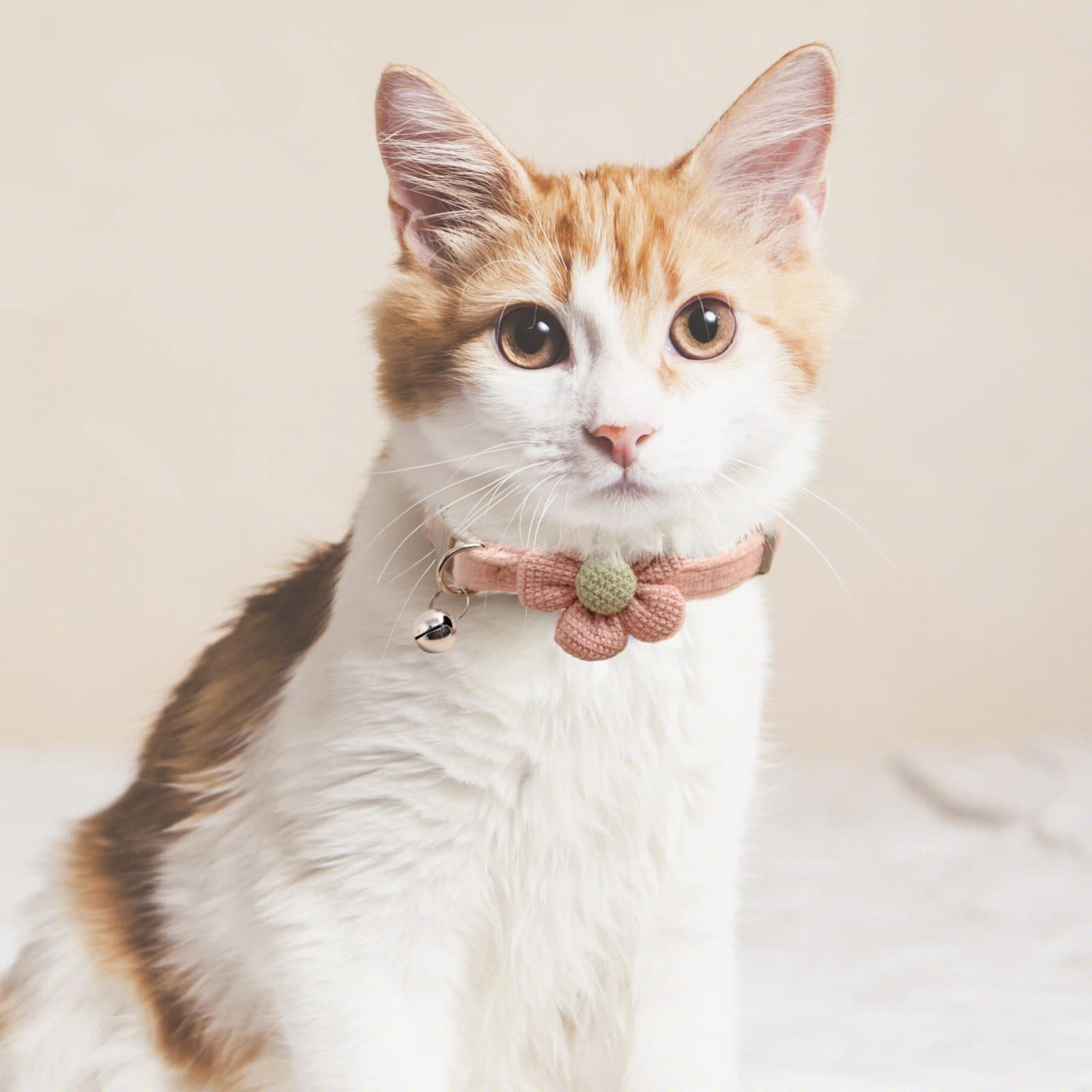 Collares Para Gato Con Colgante Brillante - Pack De 4 Collares Ajustables Con Campana Y Diseño De Estrella/luna