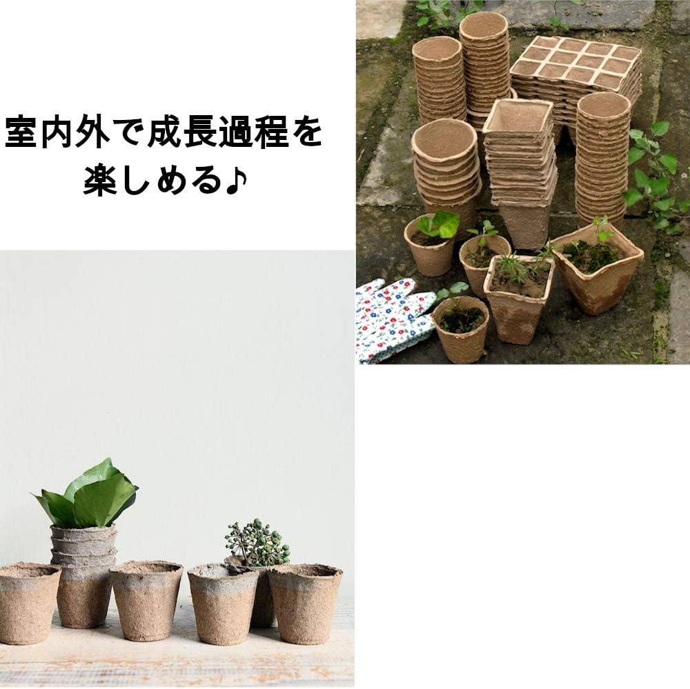 Amazon Hyquality Jp 100入 鉢 ジフィーポット 丸型 6cm 花盆 植木鉢 花盆 丸型6cm 鉢