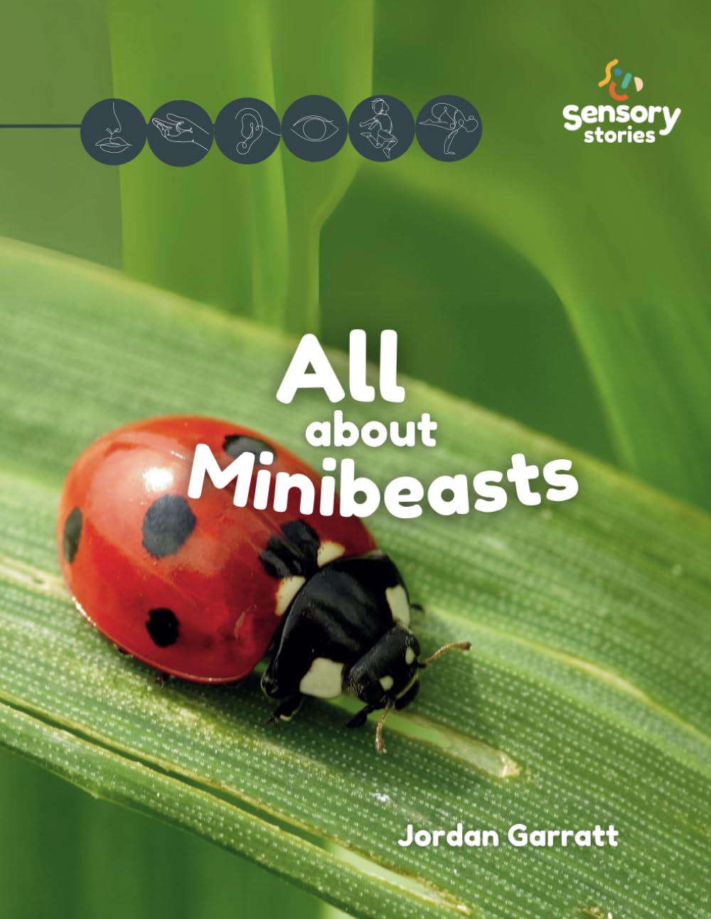 All about Minibeasts: A Sensory Story (Sensory Curriculum Sensory Stories)