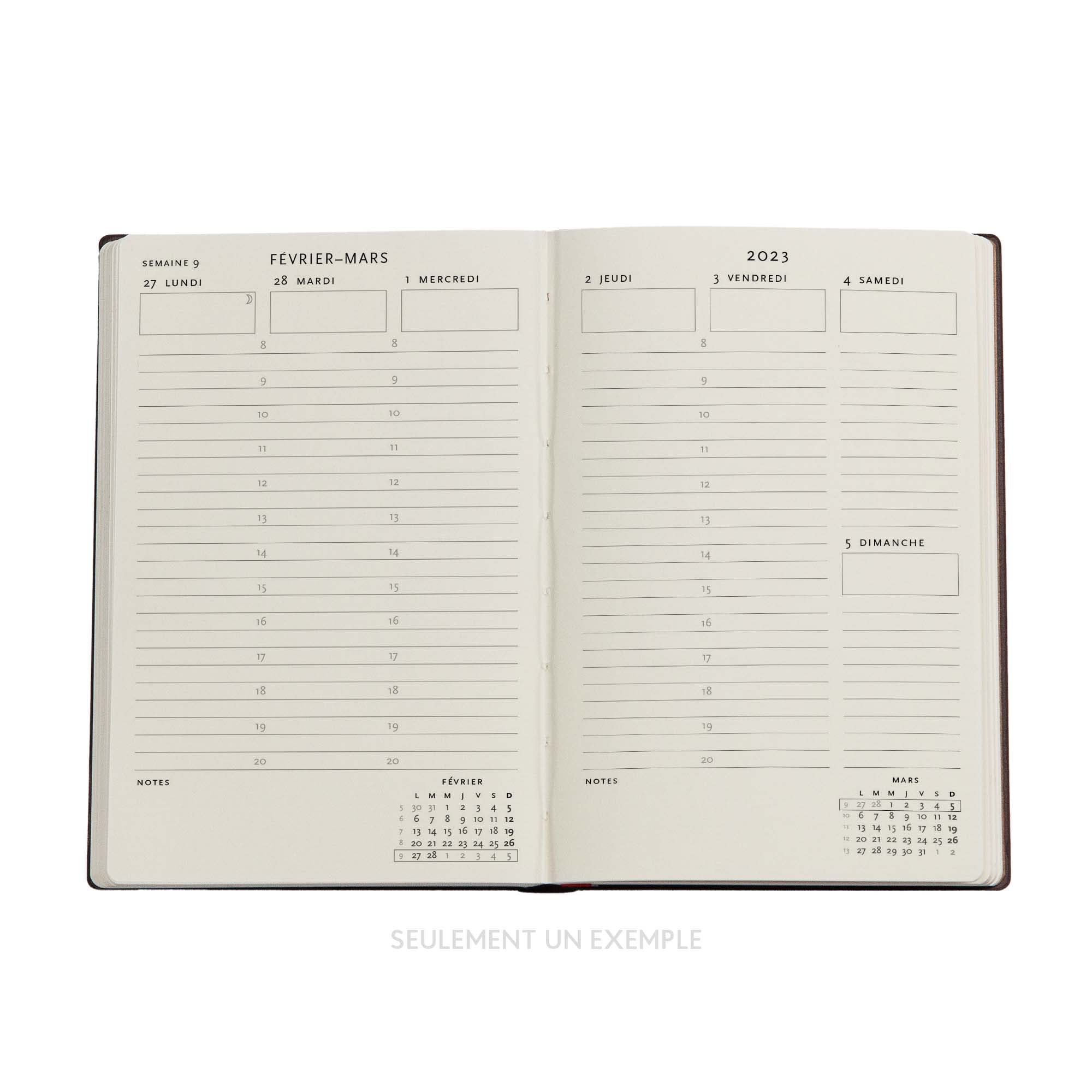 Paperblanks 12 Months 2023 Diary Fate | Horizontal | Mini (100 × 140 mm)