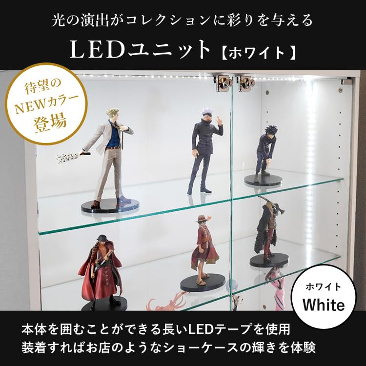 Amazon.co.jp: 地球家具 コレクションラック DIO 専用オプション LED