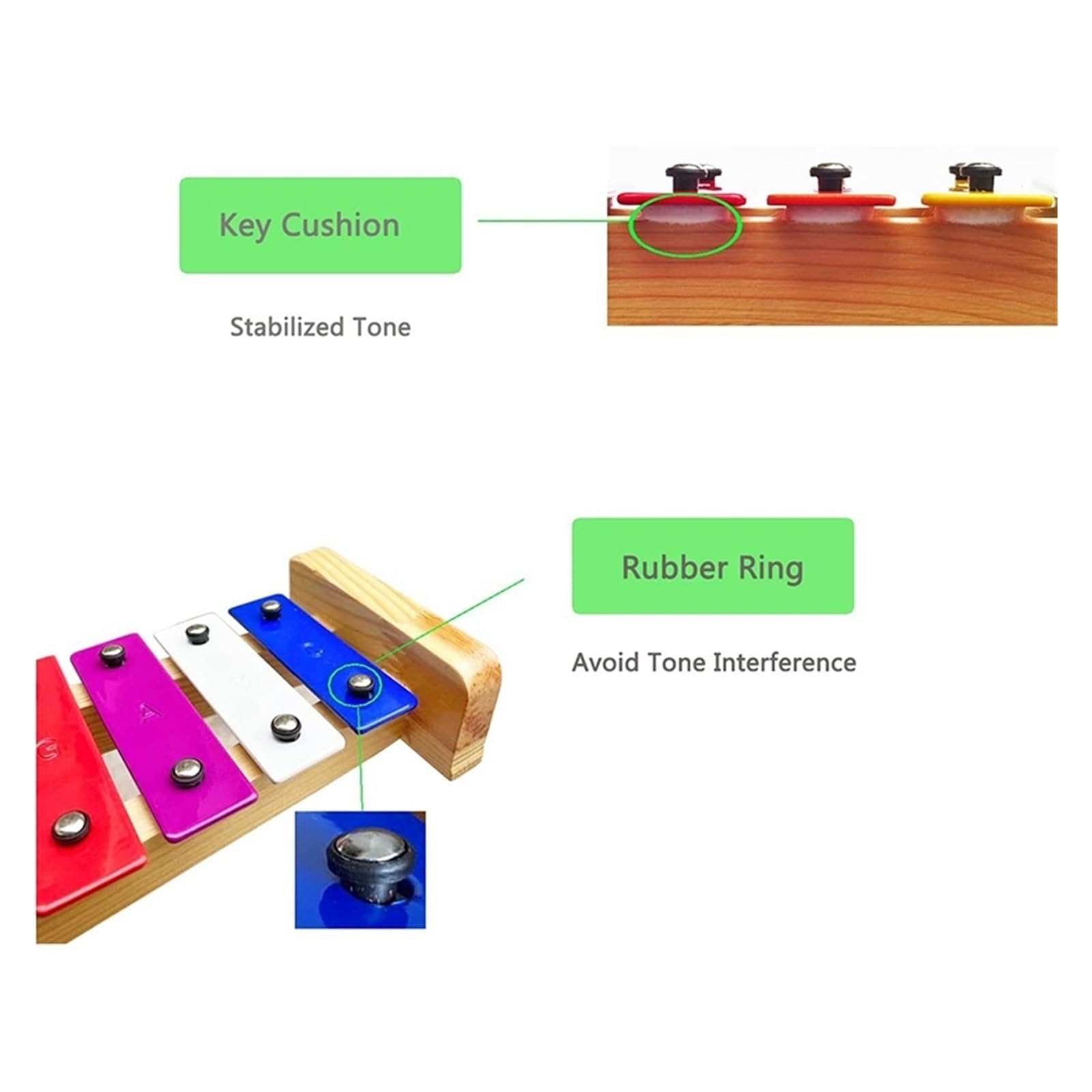 Wood Xylophone 8 Notes/Keys | Barra di metallo colorato, strumento musicale