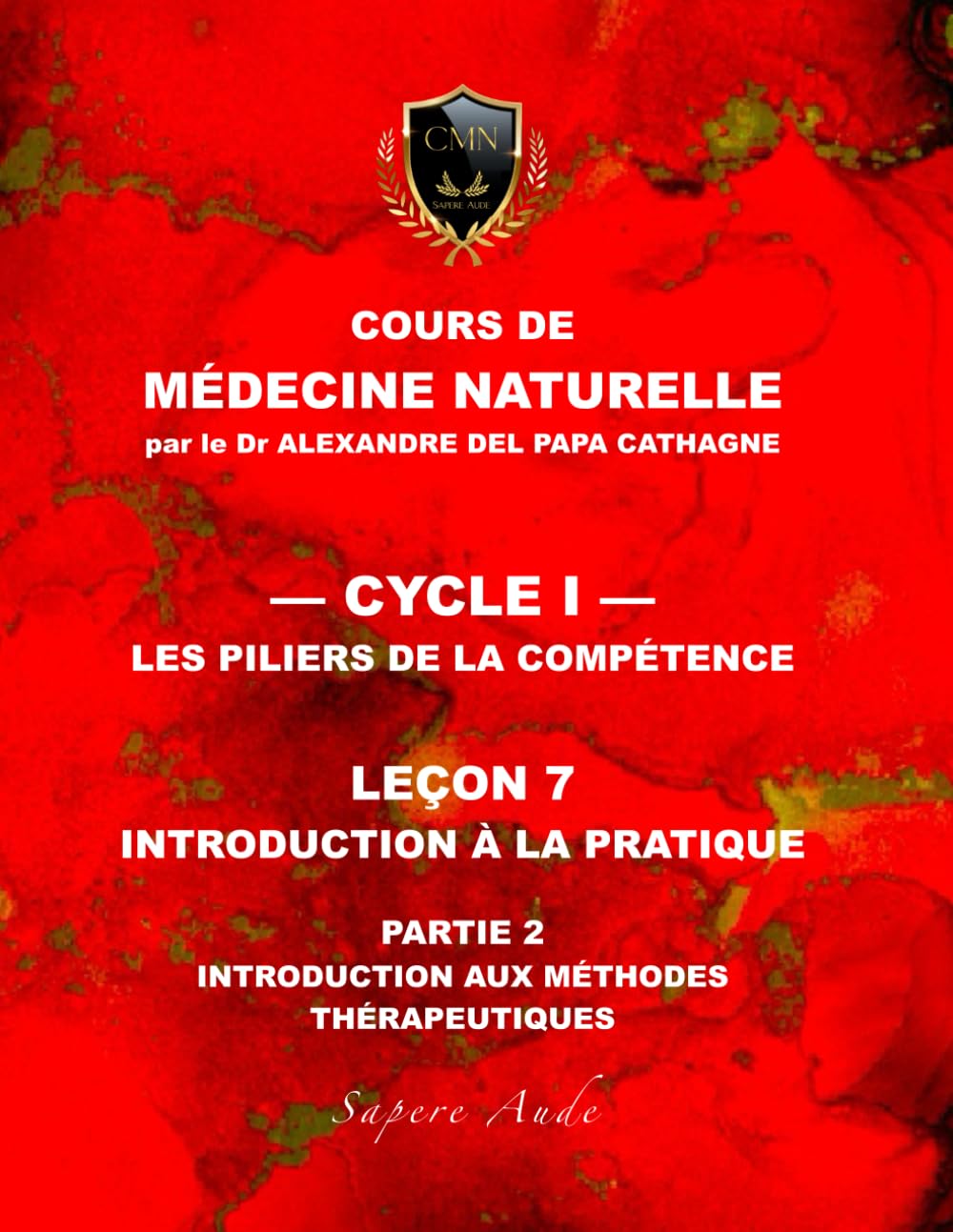Cours de Médecine Naturelle - Leçon 7 : Introduction à la pratique — partie 2: Introduction aux méthodes thérapeutiques (Cours de Médecine Naturelle — Cycle 1 : Les piliers de la compétence)
