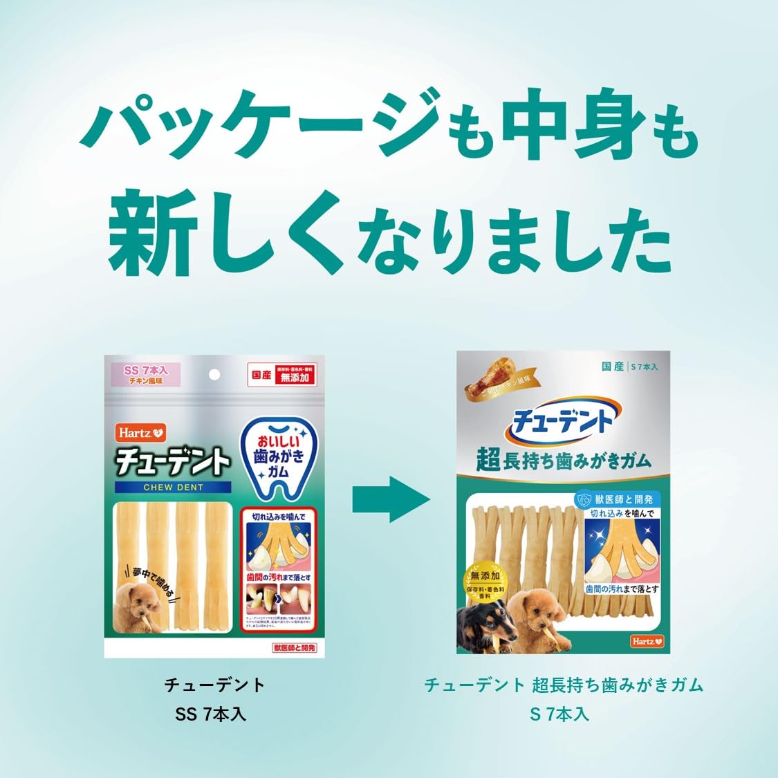 チューデント S 16袋セット Amazon.co.jp: チューデント 超長持ち歯みがきガム S 超小型～小型犬