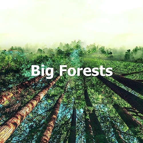 Nature Soundscapes, Forest & Nature & Rainforest Sounds Collective