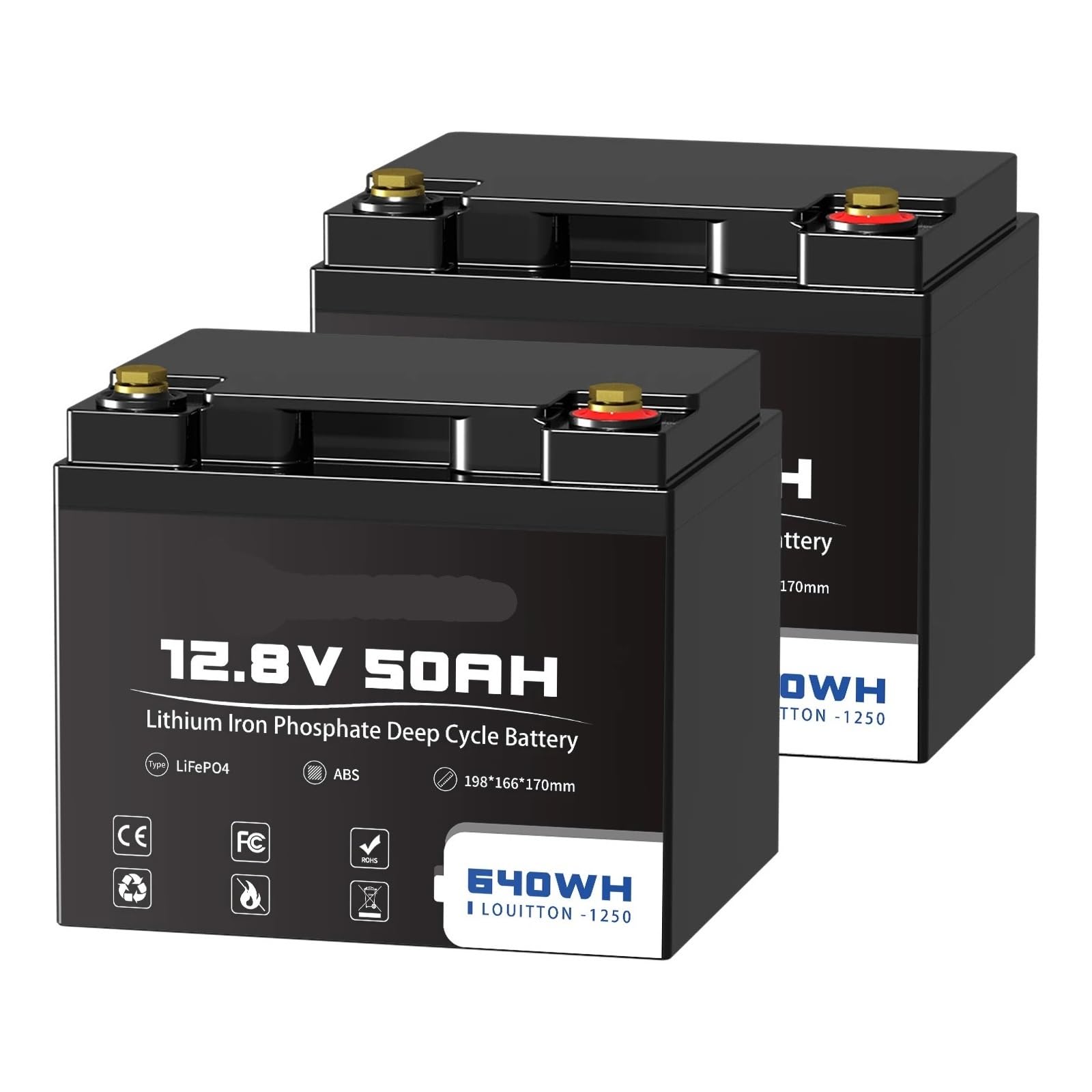 Batteria A Ciclo Profondo 12V 50AH 100Ah LiFePO4 Batteria 12,8V Alimentazione