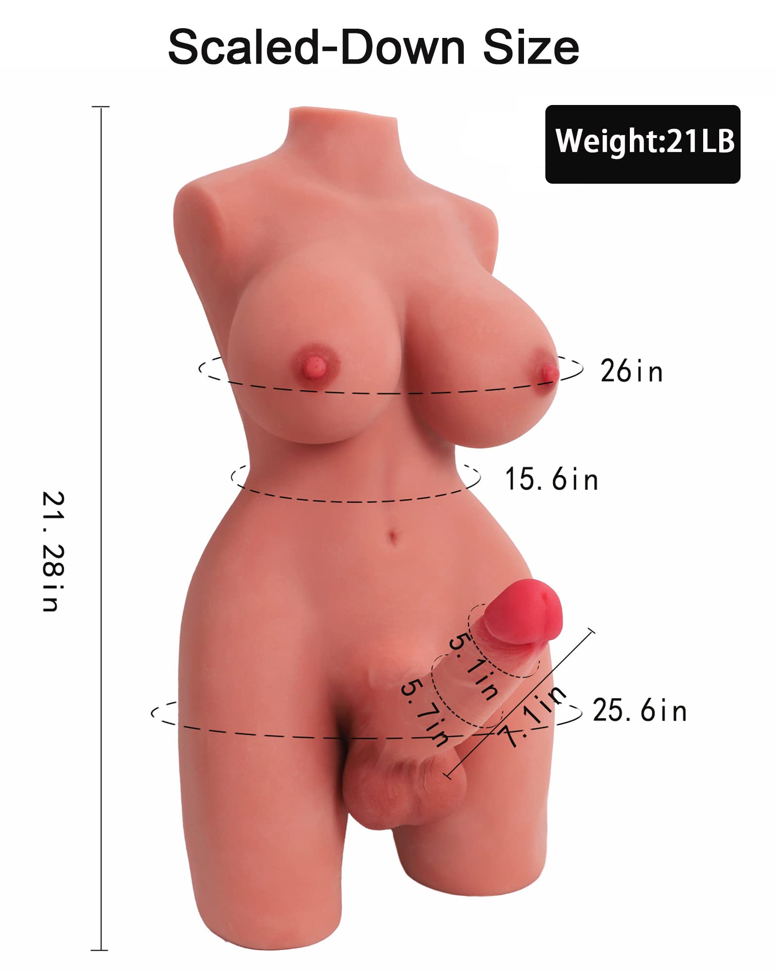 Amazon.com: Sex Doll Shemale Torso with Realistic Dildo Breasts and Anal Sex,  Transsexual Sex Dolls for Men Women Couple Unisex Masturbation Sex Fun,  Adult Sex Toys Love Doll with Dildo Testicles and