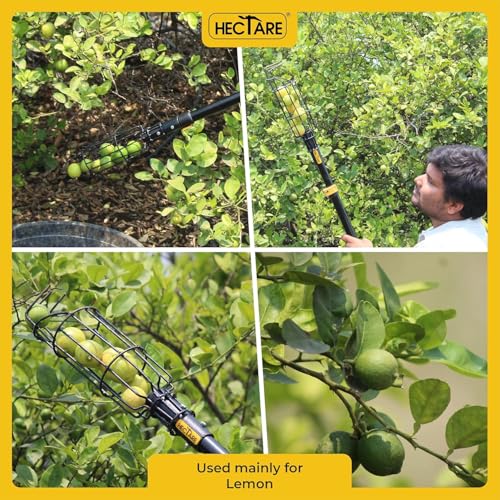 Image of Hectare Multi-Purpose Small Fruit Picker & Plucker Basket | Ideal for Lemon, Chiku, Sapota and Amla Harvesting | Lightweight Manual Gardening Tool | Durable Fruit Catcher for Easy Picking