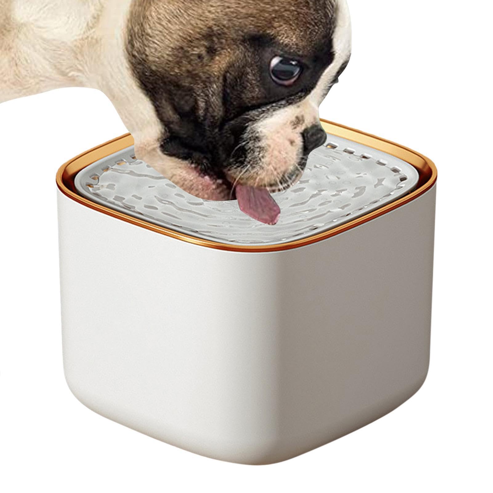 Fuente de agua automática para gatos dispensador de agua perros pequeños