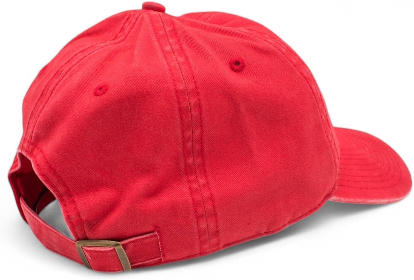 AMERICAN NEEDLE Officially Licensed Coca-Cola Dad Hat, Coke New Raglan Adjustable Buckle Strap Hat, Authentic, New