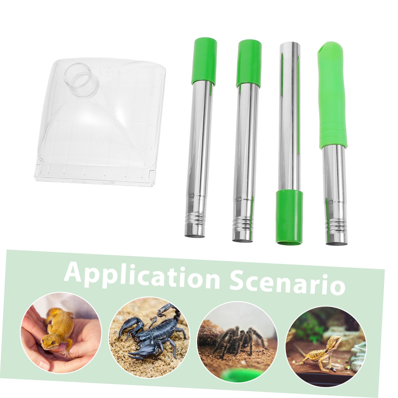 Spider Catcher Regolabile per ed Esterno Pinza Senza Contatto per e Rilascio Umani Lucertole e Insetti
