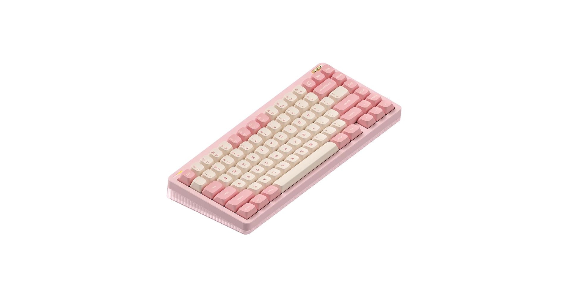 61XT4WFQyUL.jpg_BO30,255,255,