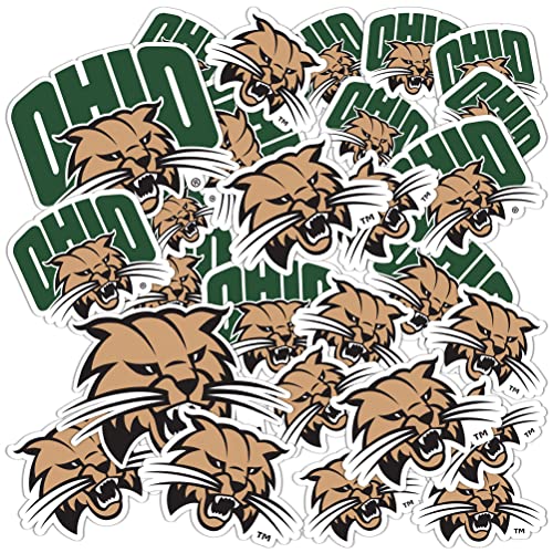 Desert Cactus Ohio University Sticker Bobcats Vinyl Decals Laptop Water Bottle Car Scrapbook T1 (Type 1-1)