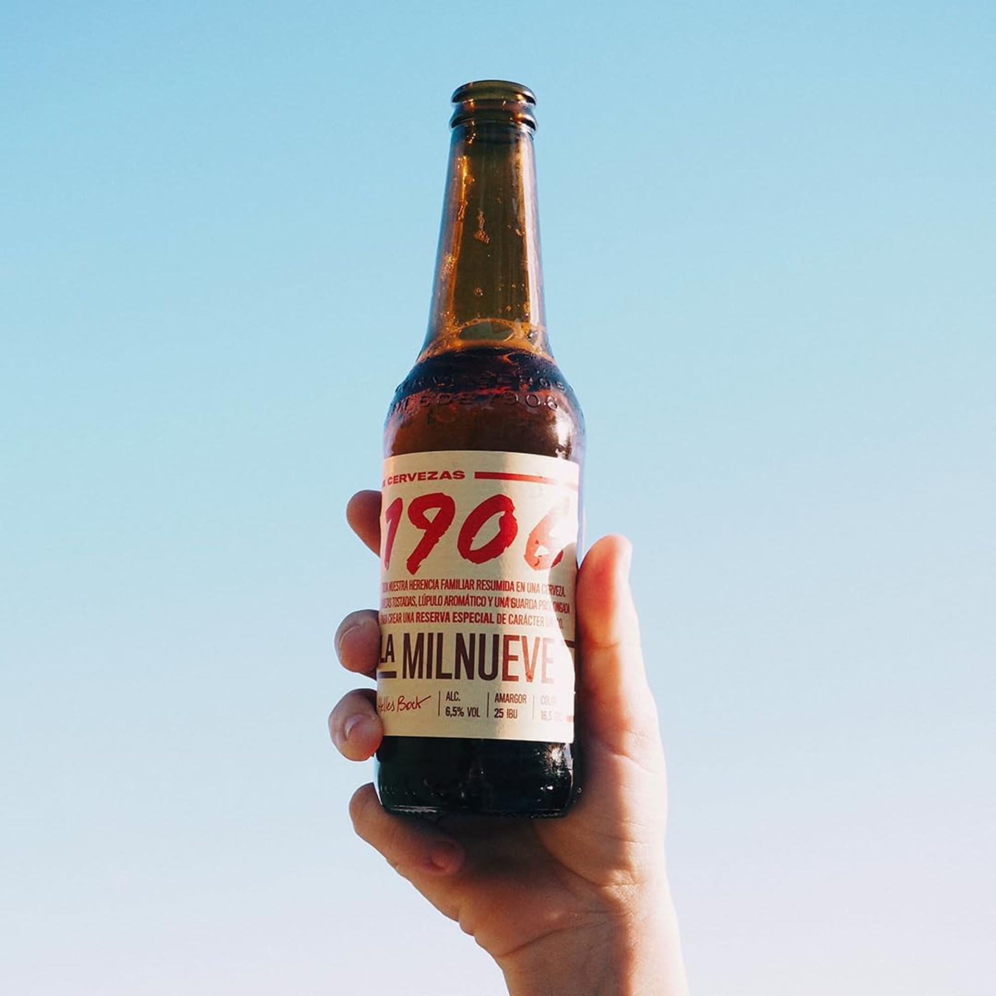 1906 Reserva Especial - Cerveza Lager Extra, Pack de 24 Botellas x 33 cl, Sabor Amargo y Aroma Tostado, Galardonada Internacionalmente, 6,5% Volumen de Alcohol