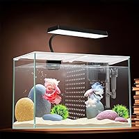 iPriro 3 Gallon Nano Glass Betta Fish Tank - 12.6" Aquarium with Separator, Hanging Filter, Full-Spectrum LED Light, 4mm White Glass