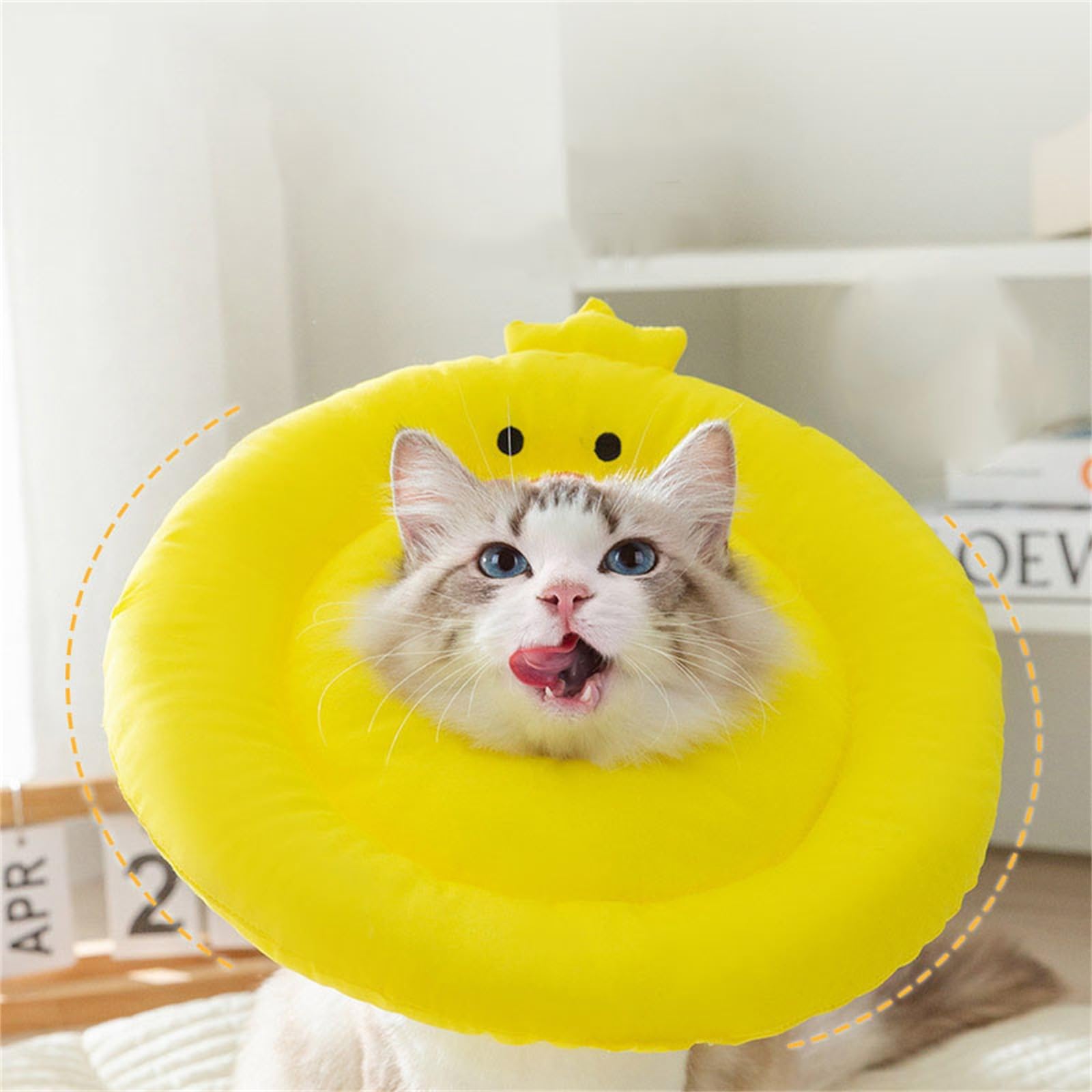 Amazon.co.jp: 猫コーン 猫の回復首輪 - 手術後のかわいい首猫コーン
