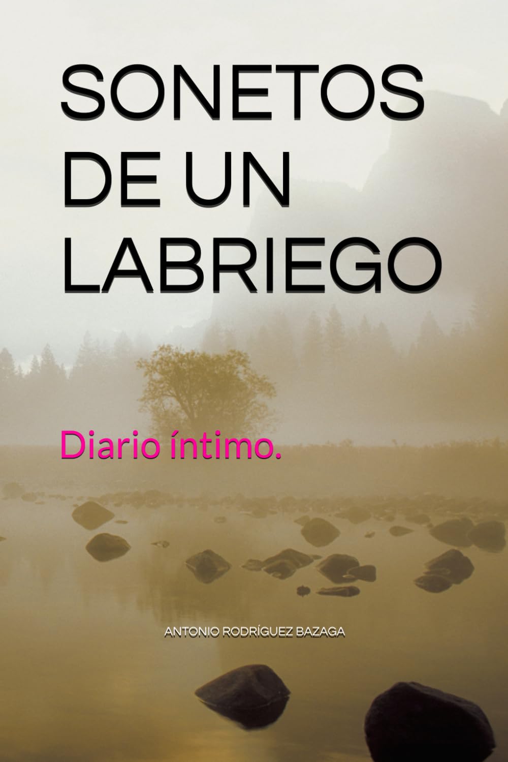 SONETOS DE UN LABRIEGO: Diario íntimo.