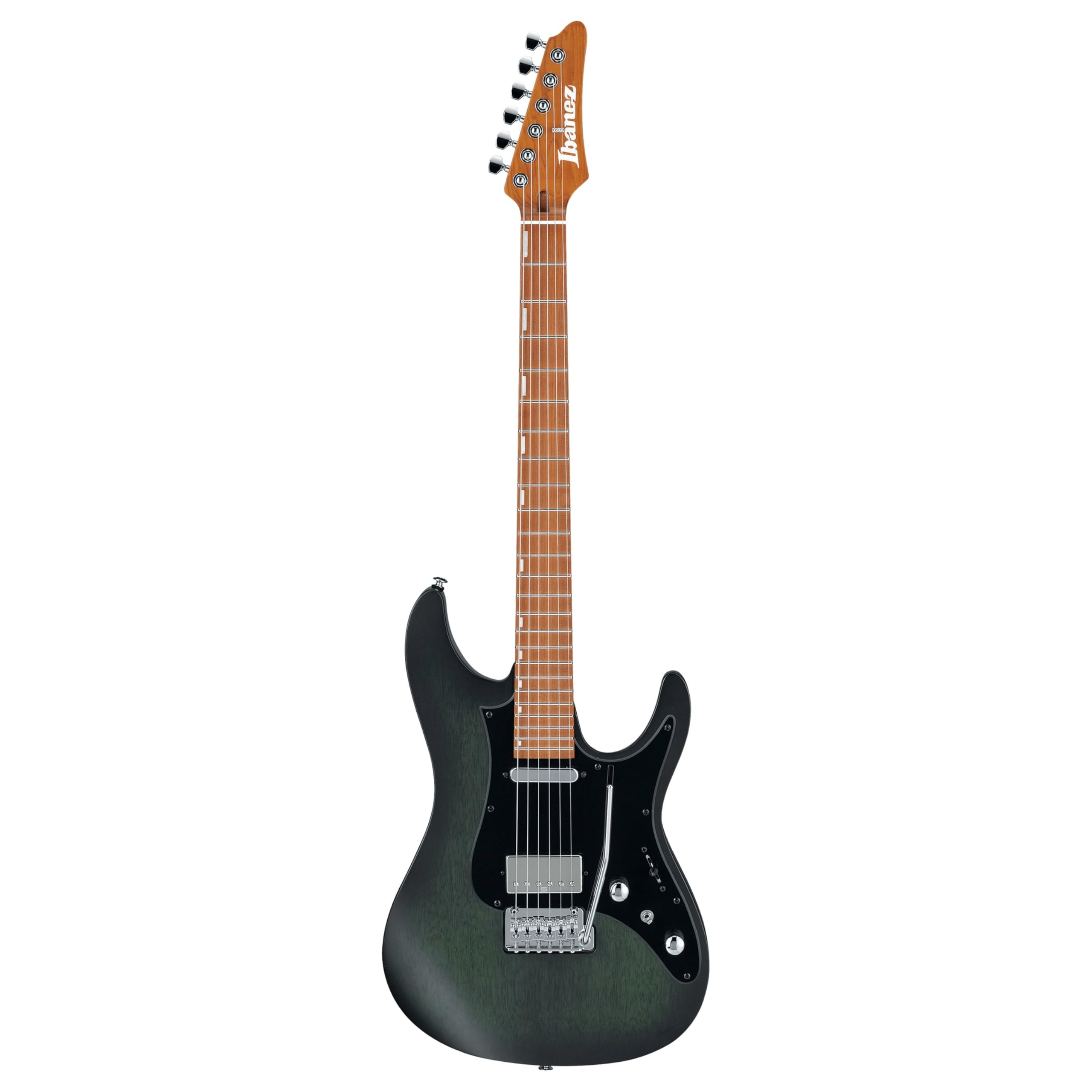 Amazon.com: Ibanez Erick Hansel (Chon) Signature EH10