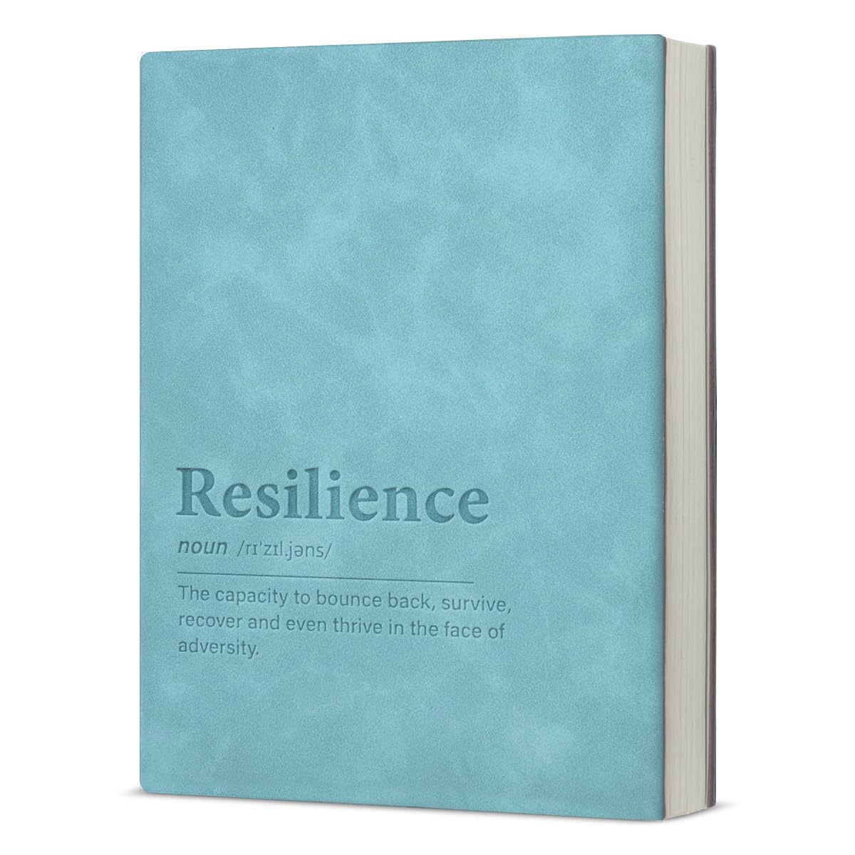 Resilience Definition Inspirujące notatniki, uczelnia, pozytywny inspirujący dziennik dla kobiet i mężczyzn, notatnik do notatek roboczych i dziennika