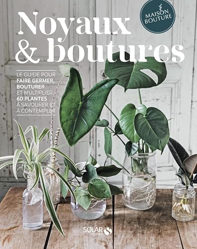 Noyaux &amp; boutures
