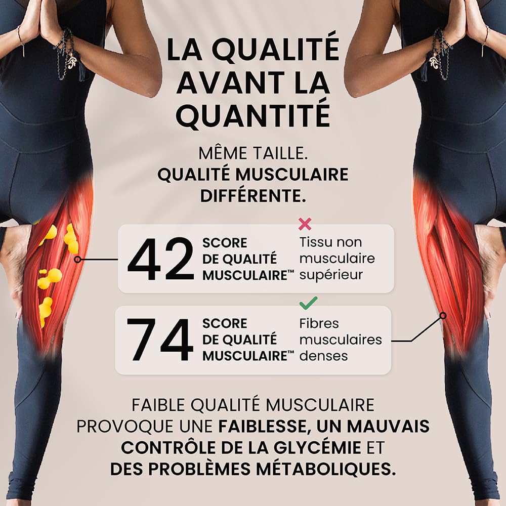 TANITA RD-445 Balance Impédancemètre Segmentaire avec Poignées, Graphite