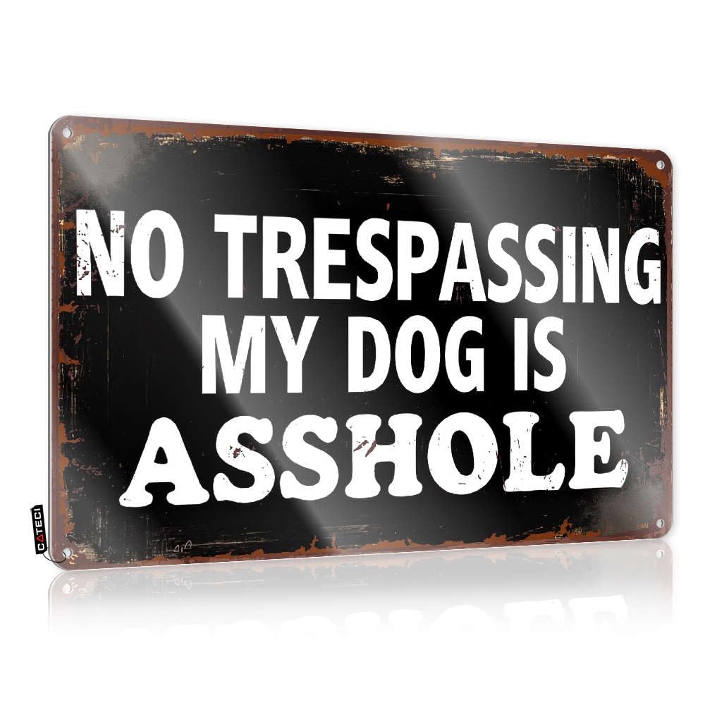 Tin Wall Decor Accessories Waterproof Artwork, Sarcastic Retro Print For Cafe Pub Backyard | Artwork Pre-drilled Custom No Trespassing My Dog Is Asshole(30X40CM)