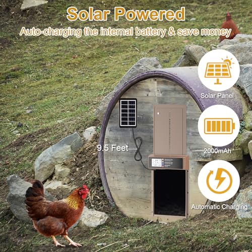 Chicken Coop Automatic Door