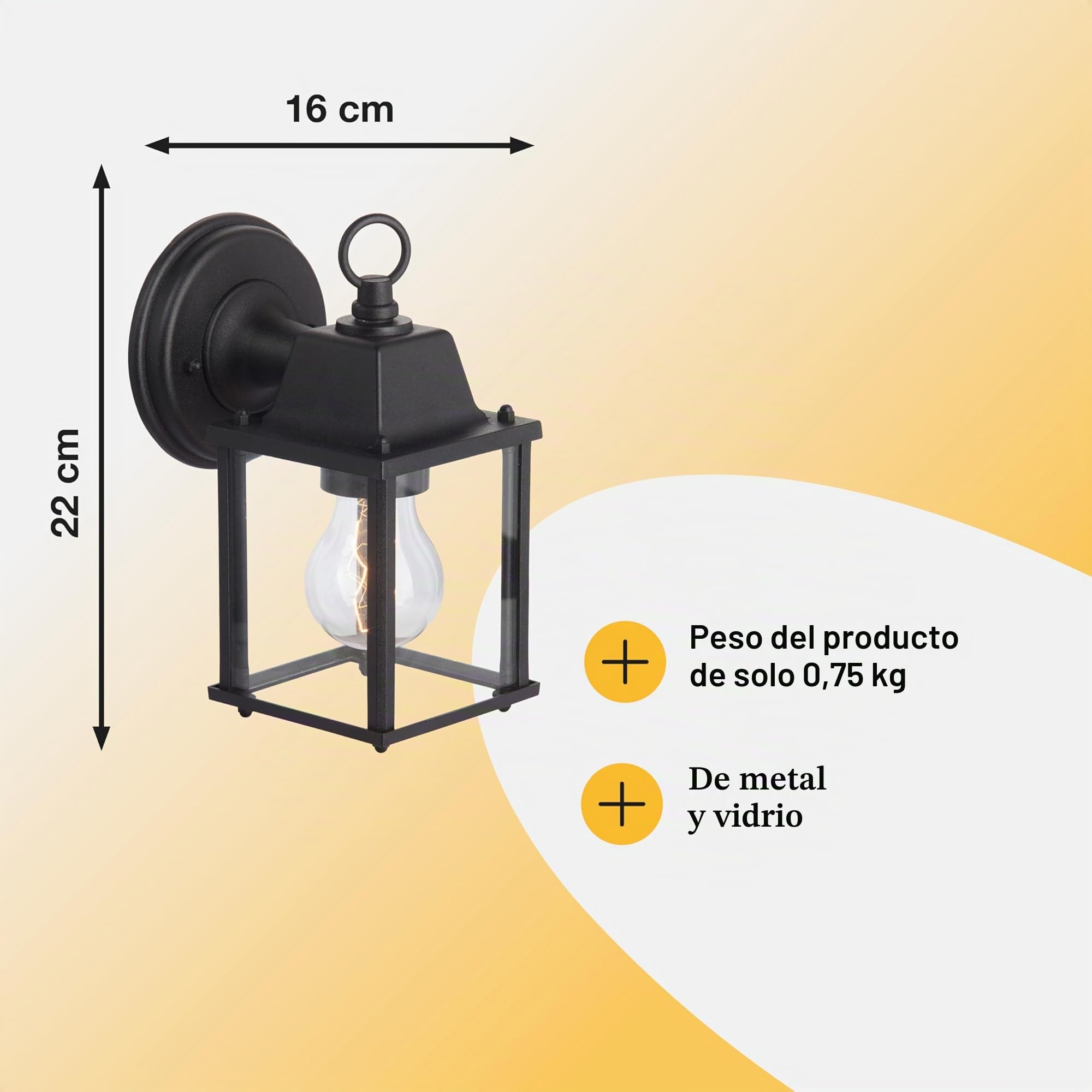 Brilliant 96186/06 Irvin - Lámpara de pared para exteriores (metal y cristal, 1 bombilla E27, 60 W), color negro