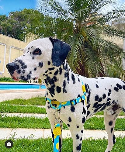 Peitoral Anti Puxão Easy Walk Lemon Para Cães Cachorros Tam G