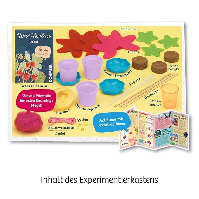 Foto 3 de 8 de Feen-Erdbeeren: Experimentierkasten