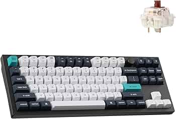 61XTXGYh8pL._AC_UF350, 61XTXGYh8pL._AC_UF350,