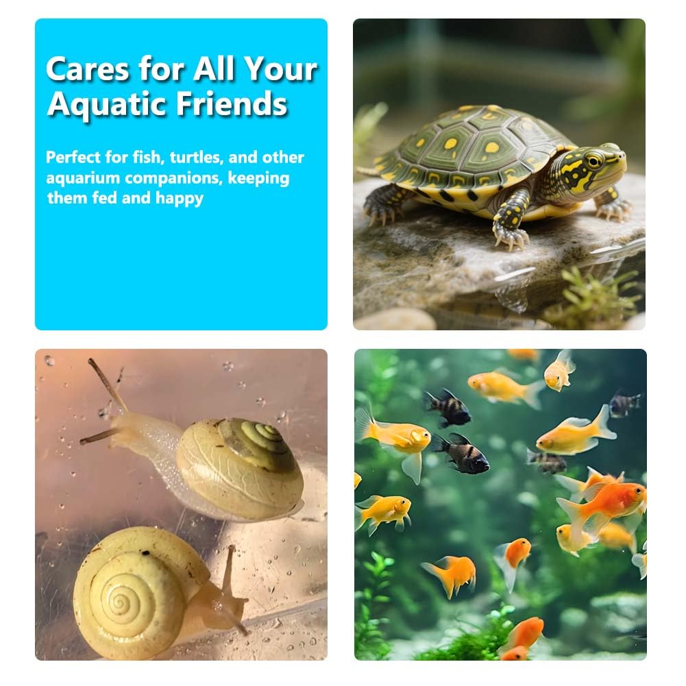 Distributeur automatique de nourriture pour poissons - 200 ml - Grande capacité - Avec affichage de minuterie - Pour petits aquariums et étangs