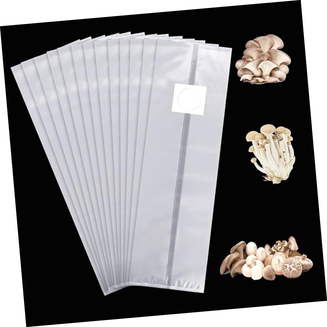 De Culture De Champignons, 50 Pièces, De Grains De Champignons, De Culture De Champignons pour Kits De Culture De Champignons Et Projets De Mycologie
