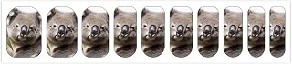 Colorful Nail Art,Koala Bear Print Fashion Nail Art,Fashion Nail Decoration,Four Seasons Nail Stickers