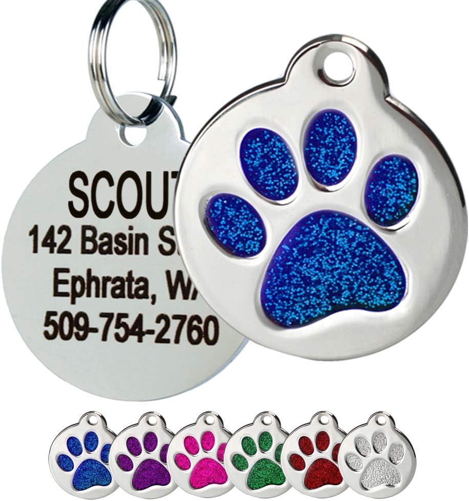 GoTags Paw Print Round Stainless Steel Pet Tag for Dogs and Cats, Personalized with 4 Lines of Custom Engraved ID, in Solid Stainless Steel and 5 Enameled Colors: Blue, Green, Pink, Purple and Red : Pet Supplies