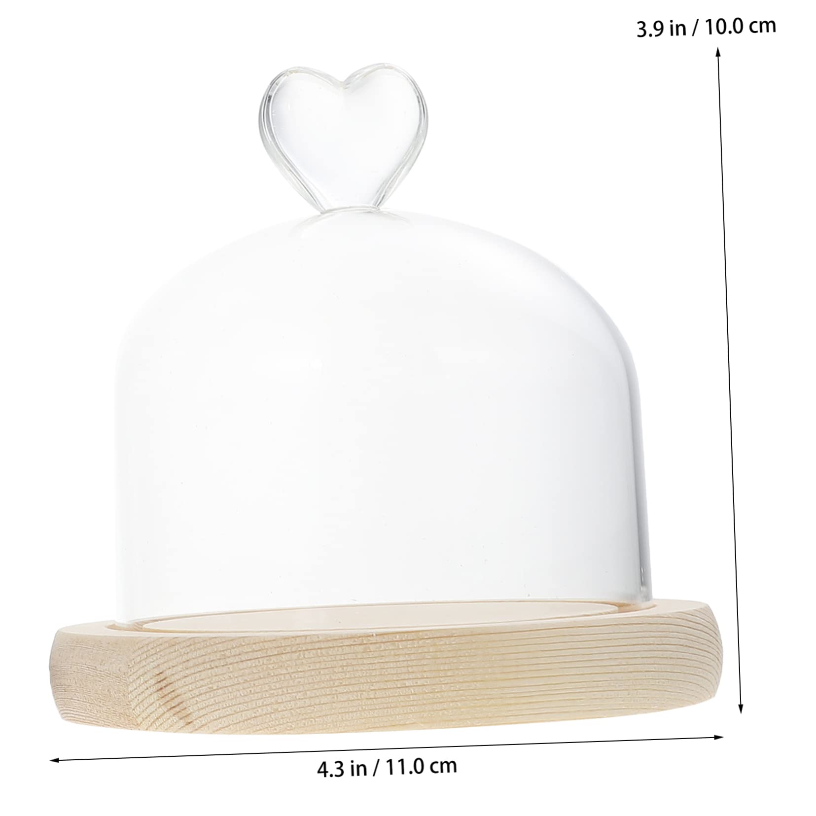 Homoyoyo 2 Stück Glasdome mit Holzsockel Dekorativer Glaskuppel für Trockenblumen und Mikro Landschaften Tischdeko für Wohnzimmer Hochzeit Weihnachten und Besondere Anlässe