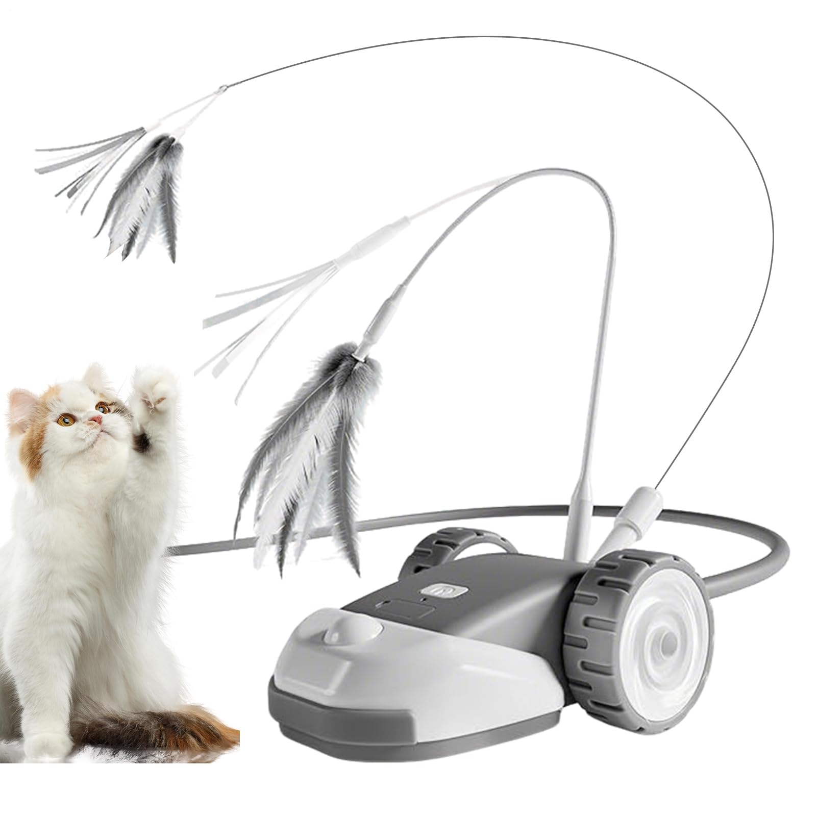 Jouet électrique pour chat : voiture interactive à 2 vitesses pour la chasse du chaton