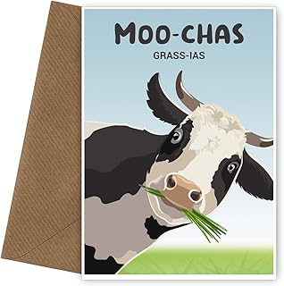 Moochas Gracias Thank You Cards - Single Thank You Greetings Cards to say Thank You, Sorry You're Leaving, Happy Retirement, Good Luck, Goodbye