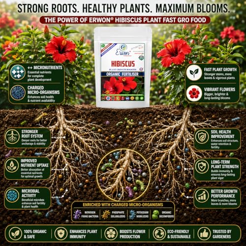 Image of Erwon Hibiscus Plant Growth Booster, Premium Essential Powerful Organic Fertilizer For Overall Growth Of Hibiscus Plants, With Charged Micro-Organism And ++ Micronutrients. (5 Kg), Powder