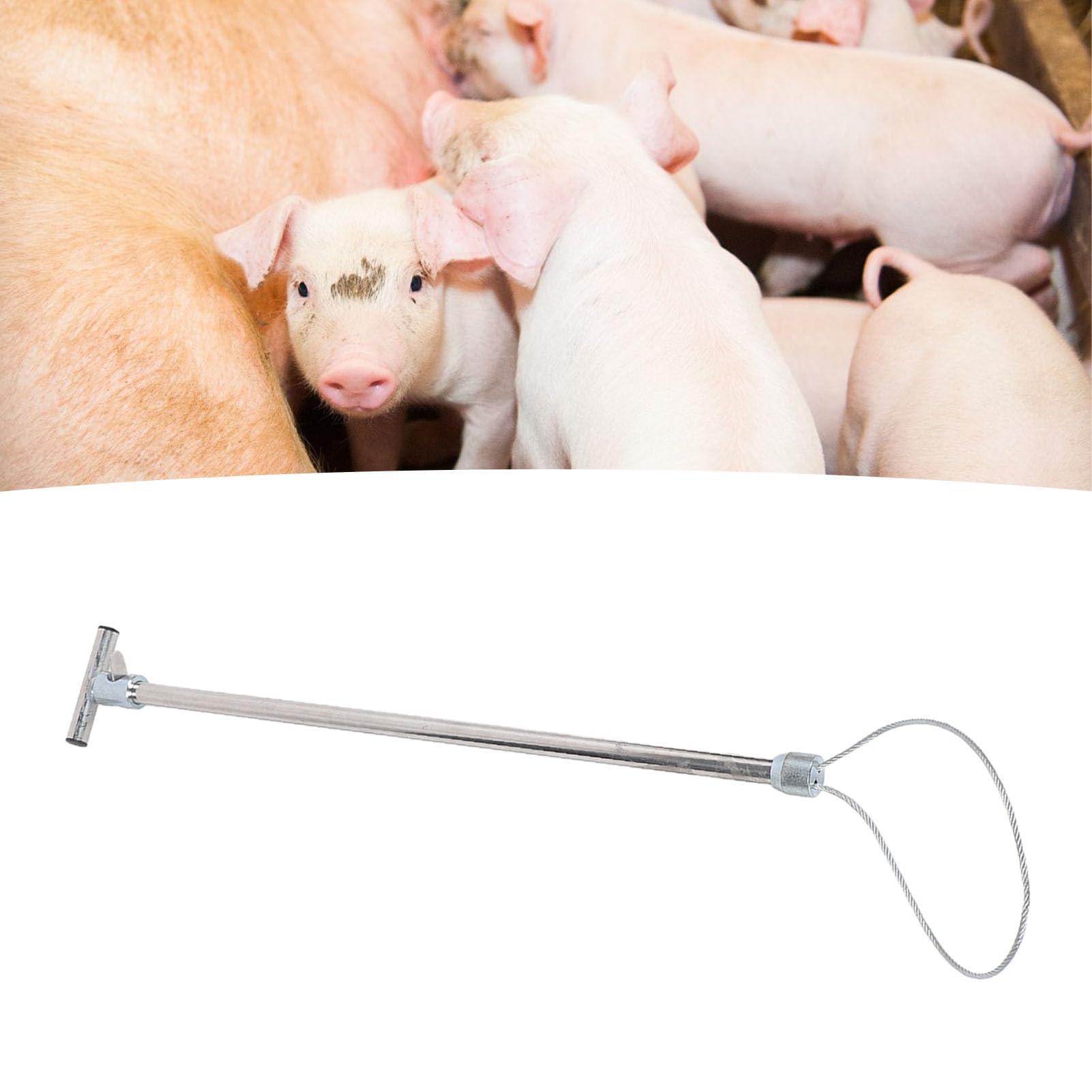 HEEPDD Acchiappacani per Cani Supporto per Maiali Asta per Maiale Catcher per Maiale Strumento per Cattura Animali in Acciaio Inossidabile per Attrezzature per L'allevamento (Maniglia a