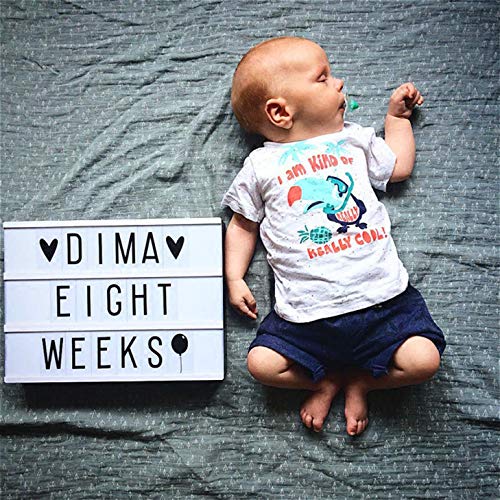 A4 Cinema Light Box Message Light Box- DIY Personal LED Sign,Marquee Style LED Lightbox w 220 Letters Emojis Numbers for Festival/Birthday/Anniversary/Home/Wedding/Shop Décor,USB Or Battery Powered