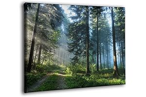 Mesmerizing Forest Tapestry: Capture the Tranquility of Nature with Vibrant Tree Pictures