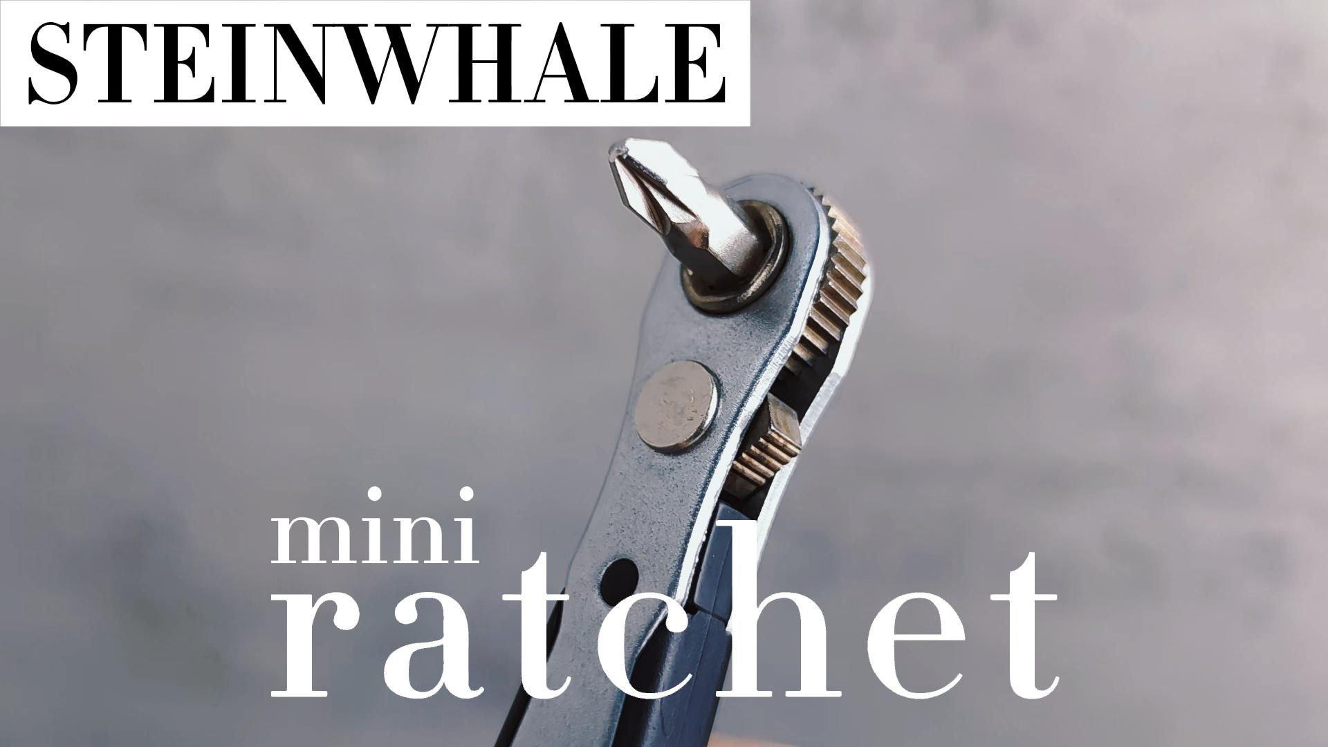 petit♪ Steinwhale 37pcs Mini Ratchet Screwdriver Set with 1/4