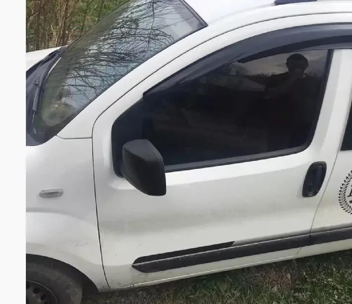 Deflecteur Vitre Voitur Déflecteurs pour Auto Déflecteurs de Vent Déflecteur d'air Déflecteur de Pluie Compatible avec Citroën Nemo 2007-2024 Fenêtre Collables Aérodynamique 2 pièces Montage Externe