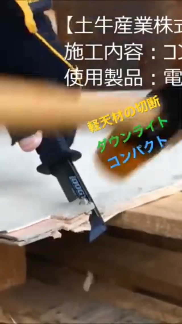 2021年 牛年 金箔工芸品 CCTV 2021年 牛年 金箔工芸品 CCTV