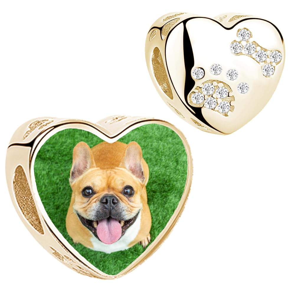 2Burned Personalised 925 Sterling Silver Photo Charm Fit Pandora Bracelet Necklace Customized Heart Round Shape Picture Bead (Paw 18K Gold plated)