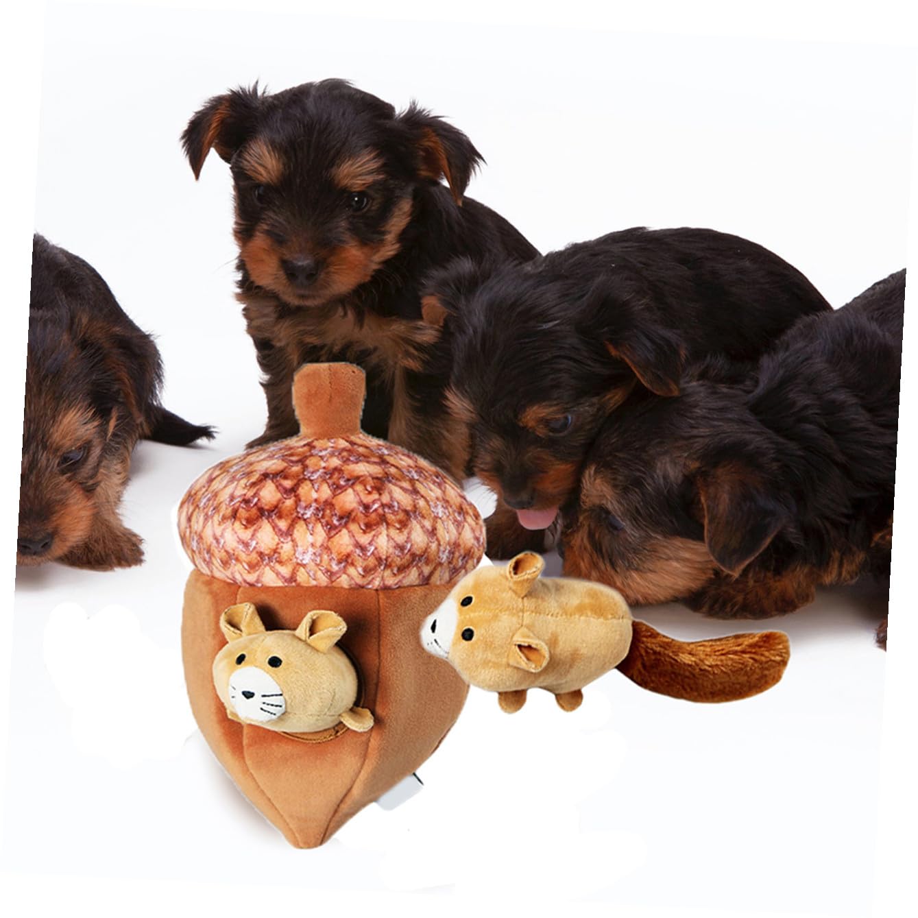 ibasenice 1ensemble Jouet Interactif Peluche pour Chien Squeaky Toy Écureuil Noix pour Mastication Réduit Ennui Et Objets Maison