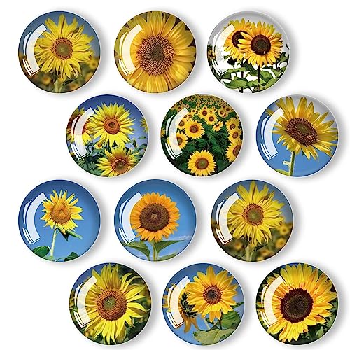 12 imanes decorativos de vidrio para refrigerador miniatura 1